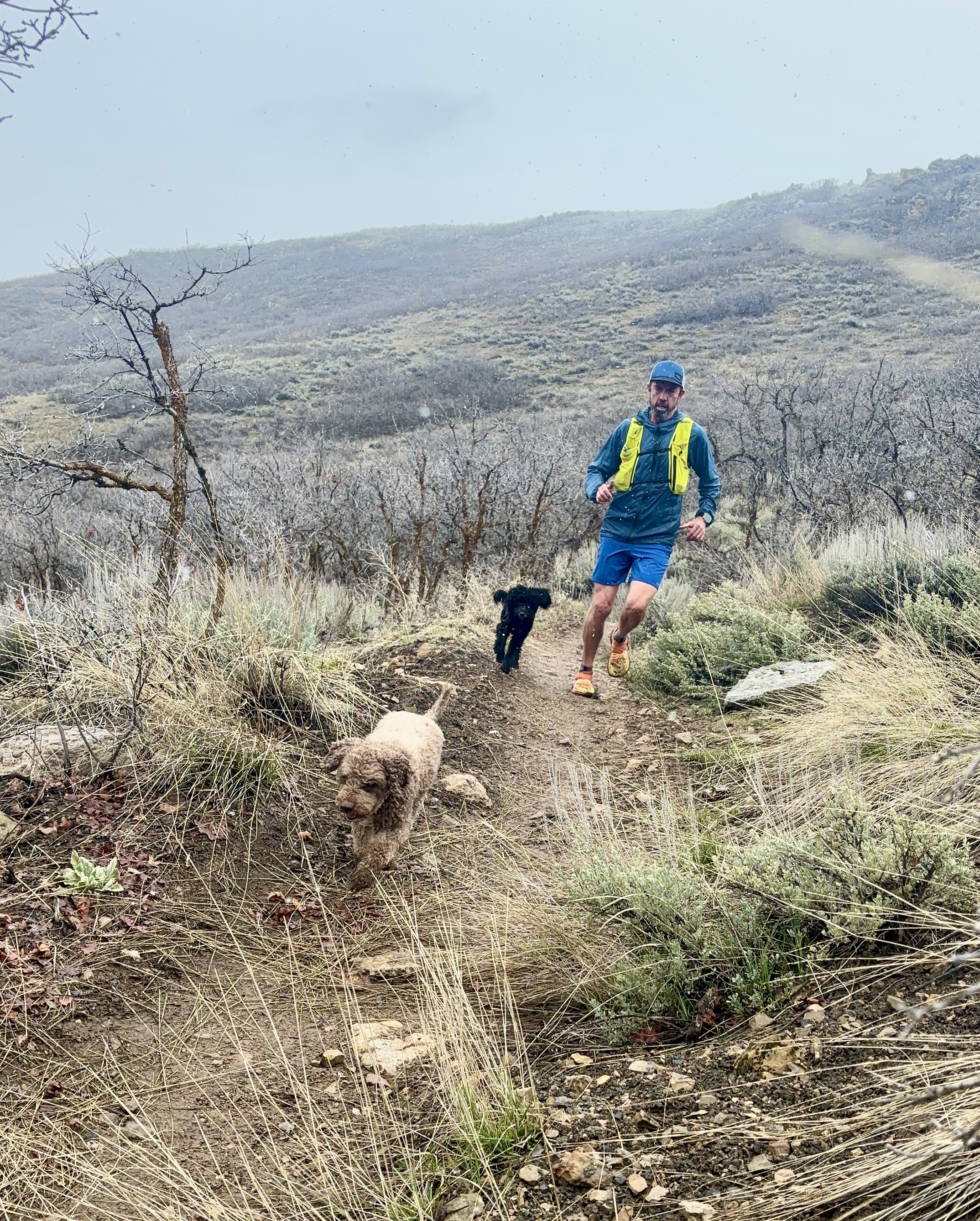 Trail landscape in the Wasatch Back.