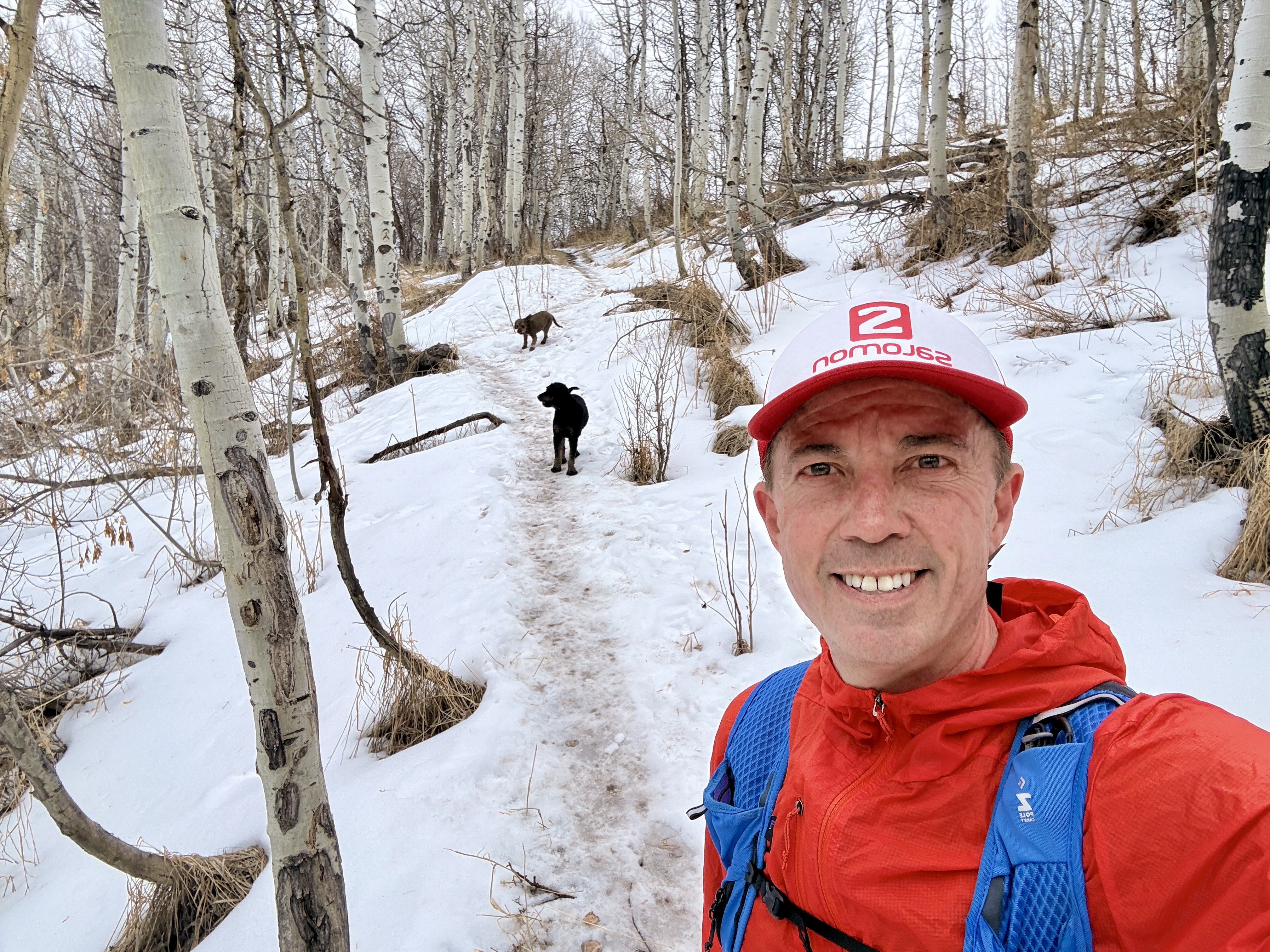 Trail running scene with dogs.